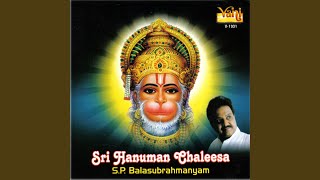 Sri Nama Ramayanam [upl. by Tertius758]