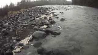 Fly Fishing New Zealand  Tongariro River [upl. by Nayra]