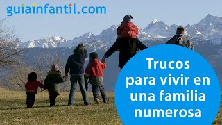 El secreto de un padre para organizar a su familia numerosa [upl. by Enutrof456]