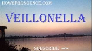 How To Pronounce VEILLONELLA [upl. by Enilrad]