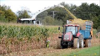 Ensileuses Claas Jaguar COMPILATION  Ensilage de Maïs [upl. by Lashondra]