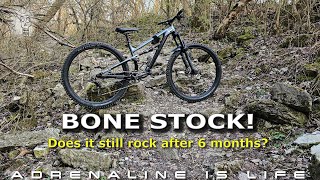 A Long Term Look at the Best Budget Trail Mountain Bike out there The Polygon Siskiu T6 [upl. by Rehpinej]