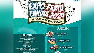 EXPO FERIA CANINA 2024 BIS DÍA 4 17032024 glareices huskysiberianosrd [upl. by Nacim]