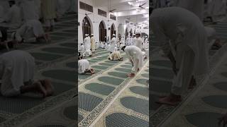 Tahajjud ki Namaz Ka behtarin Tarika👌🛐 Mufti Tariq Masood trendingvideo islamicprayer trending [upl. by Pentheam714]