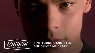 Fine Young Cannibals  She Drives Me Crazy Official Video [upl. by Annuahsal]