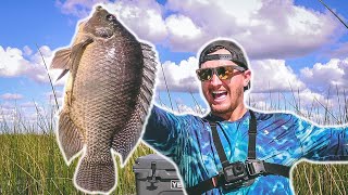 BowFishing For GIANT Tilapia on Lake Okeechobee [upl. by Aiynat]