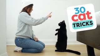 30 Tricks To Teach Your Cat [upl. by Murvyn580]