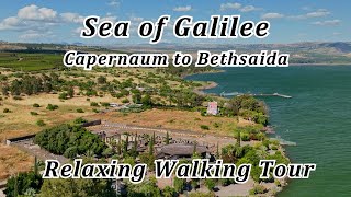 Capernaum to Bethsaida Relaxing Walk Tour Walk in the Footsteps of Jesus Enjoy the Sea of Galilee [upl. by Akerdna425]