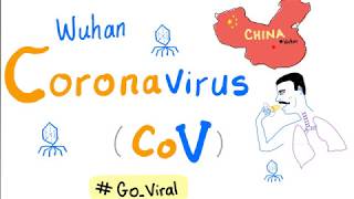 Novel Coronavirus 2019 nCoV 🦠 Outbreak 😷 Update  1 COVID19 [upl. by Helli]