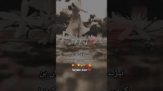 Tedy Dil Vich Log Hazara Hin ❤️ Saraiki Poetry ❤️🥰 saraiki unfrezzmyaccount saraki goonline [upl. by Vasilek]