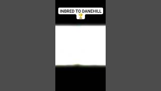 INBRED TO DANEHILL [upl. by Maurilia]