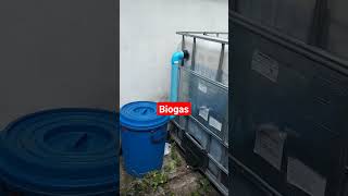 Biogas plant at home biogas digester for home Free gas  Ceo Thiyada [upl. by Airrej22]