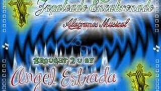 Zapateado EncabronadoAlacranes Musical [upl. by Merrel]