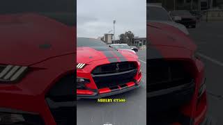 Ford Mustang GT vs Shelby GT500 Differences Explained [upl. by Sivrahc]