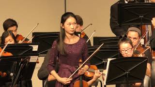 Accolay Violin Concerto No 1 in A Minor  Allegro Moderato [upl. by Anaehr]