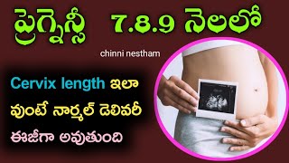 Cervical Length During Pregnancy  Normal Delivery  pregnancy care  chinni nestham [upl. by Torrey576]