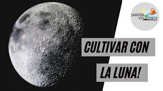 Influencia de la luna en los cultivos de nuestro huerto o jardín Calendario lunar [upl. by Worden]