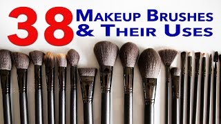 Ultimate Makeup Brushes Guide 38 Makeup Brushes and Their Uses [upl. by Assir]