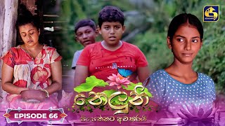 Neluni  EPISODE 66  නෙලුනි  1st October 2024 [upl. by Rehposirhc]