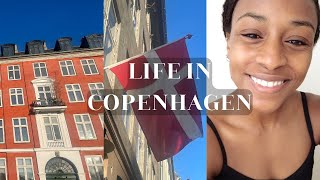 LIFE IN COPENHAGEN 2024 American in Denmark Grocery Shopping Fitness Routine New Rug Painting [upl. by Harald481]