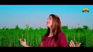 Tere Navi jind la chhori amarchand new song 2024 [upl. by Naik776]