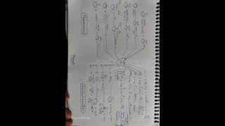 Phenol preparation and chemical reaction🔵🧪 flowchart chemistrynotes chemistryclass12 ytshorts [upl. by Aehsa]