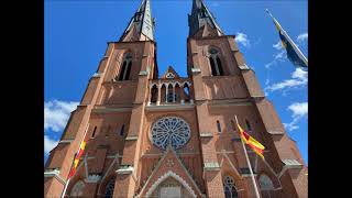 Uppsala U Uppsala domkyrka plenum [upl. by Kassab711]