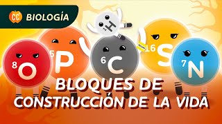 ¿De qué está hecha la vida El carbono y las moléculas biológicas Crash Course Biología 20 [upl. by Keiryt]