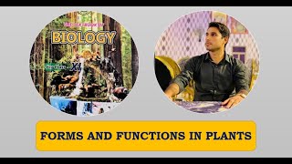 Class 11th  Forms And Functions In Plant  Lecture 20 Phloem Translocation  Flow Pressure theory [upl. by Lertnek]