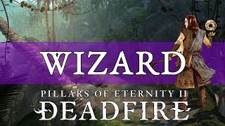 Pillars of Eternity 2 Deadfire Guide Wizard [upl. by Hgielrebma61]