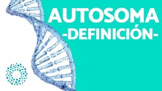 DEFINICIÓN de AUTOSOMA  ¿QUÉ son los AUTOSOMAS [upl. by Pelage]