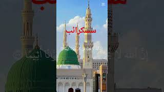 Sakandar Ali 9115 islamicvideo duet quranpakkosamjoapkizindagibadaljaegi allahhuakbarallahhuakba [upl. by Trebma]