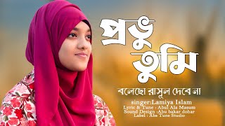 প্রভু তুমি বলেছো রাসূল দেবে না  Provu Tumi Bolecho Rasul Debe Na  Lamiya Islam  Islamic Song 2023 [upl. by Dranrev]