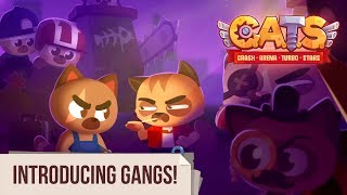 CATS  Introducing Gangs [upl. by Tory]