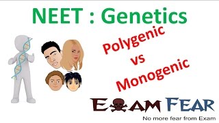 NEET Biology Genetics  Polygenic vs Monogenic Polygenic and Environment [upl. by Rosalia]