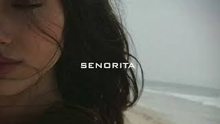 SENORITA SLOWED REVERB [upl. by Susejedairam383]