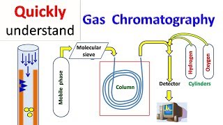 Gas chromatography  GC [upl. by Aicital]