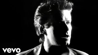 Don Henley  Not Enough Love In The World Official Music Video [upl. by Oinesra]