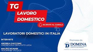 Tg Lavoro Domestico  Lavoratori domestici in Italia [upl. by Ecienahs]