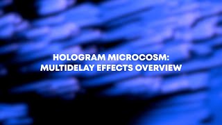 Hologram Microcosm Multidelay Presets Overview [upl. by Ovid]