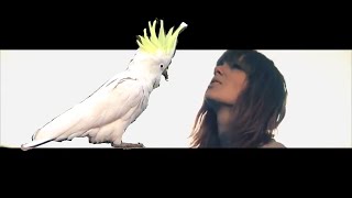 Taylor Swift  Trouble SCREAMING COCKATOO Taylor Swift [upl. by Agbogla]