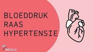 Bloeddruk RAAS en hypertensie [upl. by O'Donovan]