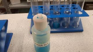 Exothermic and endothermic reactions [upl. by Sol]