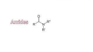 07  Amines amp Amides [upl. by Annette428]