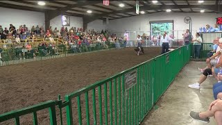 Fulton County Fair collecting nonperishable goods for food pantries [upl. by Moss]