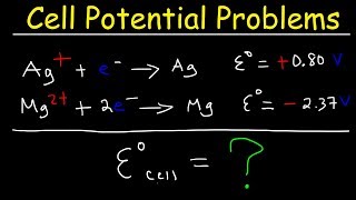 Cell Potential Problems  Electrochemistry [upl. by Ettenil]