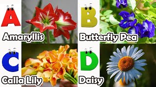 Flowers ABC Song for Kids  Phonics for Kids  Alphabet Letters  Nursery Rhymes [upl. by Aerdnaek514]