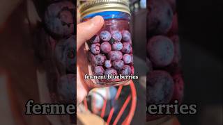 Fermented blueberries 🫐🫐🫐 [upl. by Asnerek]