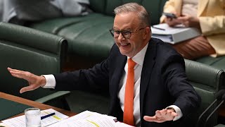 ‘Thin glass jaw’ Albanese’s response to rally video slammed [upl. by Ymarej397]