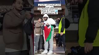 Les drapeaux palestiniens au StadedeFrance FreePalestine متداول الجزائر [upl. by Wilburt]